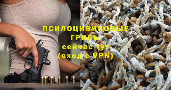 a pvp Богородск